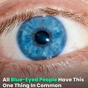 All Blue-Eyed People Have This One Thing In Common