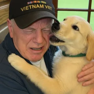 The Puppy Was Meant to Help Him Heal from His Pain — But What Happened Next Took a Devastating Turn No One Expected