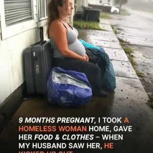 ‘Homeless and Hungry’: The Sign Held by a Homeless Woman I Took In, Only to Be Kicked Out of My Own Home the Same Day — Story of the Day