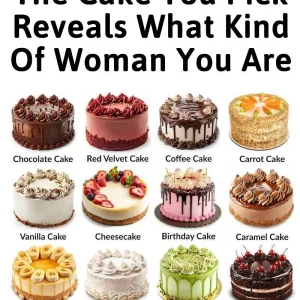 The Cake You Pick Reveals What Kind Of Woman You Are