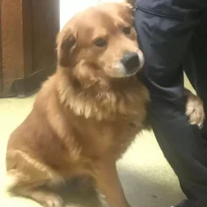 I couldn’t leave him behind, and he wouldn’t let go of my leg.