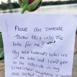 I was devastated by what I discovered in a note on a rose