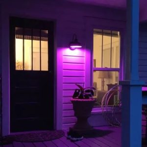 The True Meaning Behind Purple Porch Lights