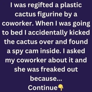 Regifted Cactus Reveals Unwanted Surprise