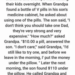 Story: Grandma and Grandpa were visiting their kids overnight