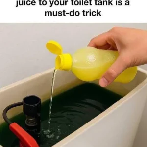 8 reasons why adding lemon juice to your toilet tank is a must-do trick