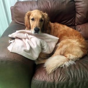 Beautiful ending: I Bought a $20 Couch at a Garage Sale, and It Changed My Life in a Day