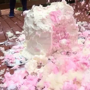 My MIL ‘Accidentally’ Dropped Our Gender Reveal Cake, But Her Smile Said Otherwise.