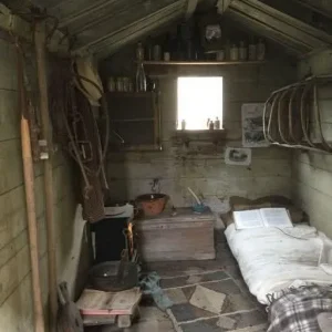 THIS OLD CABIN WAS THE ONLY INHERITANCE I GOT FROM MY GRANDPARENTS—AND IT MADE ME RICHER THAN I EVER IMAGINED