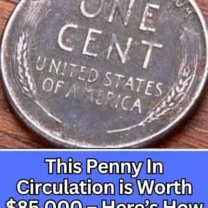Here’s How To Spot It – This Penny In Circulation is Worth $85,000