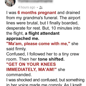 Flight Attendant Forced Me to Kneel on the Plane While Pregnant – Her Reason Left Me in Shock