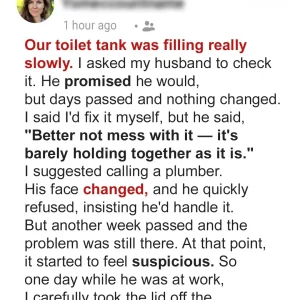 My Husband Ignored the Toilet Problem for Weeks and Refused to Call a Plumber – When I Opened the Lid, I Was Left Speechless