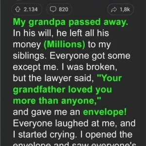 I Was Upset That My Grandfather Only Left Me an Old Apiary until I Looked into the…