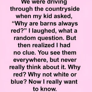 What’s the reason barns are traditionally painted red?