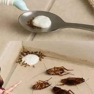 Put this in your house and you will never see flies, mosquitoes or cockroaches again