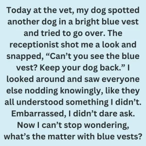 What It Really Means When You See a Dog Wearing Blue Gear