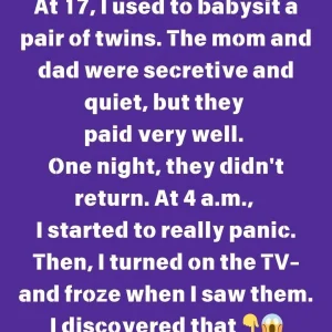 The Night I Discovered The Truth About The Twins’ Parents