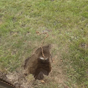 I Discovered a Chain Hidden Beneath My Mailbox