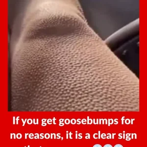 If you get goosebumps for no reasons, it is a clear sign that you are….