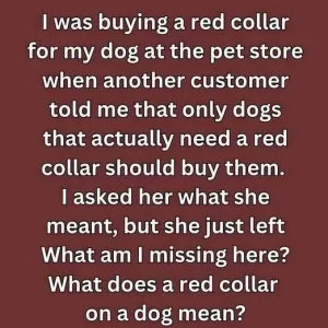 What It Means If You See a Dog with a Red Collar