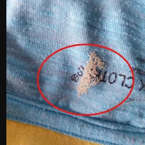 Yesterday morning, while sorting laundry by the window, I noticed something that made my heart skip a beat