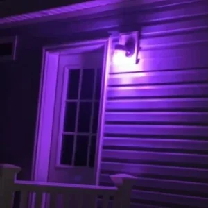 Why More Porch Lights Are Turning Purple — And What It Really Means