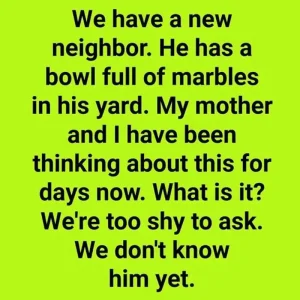 How to Make a Simple DIY Bee Watering Station That Beautifies Your Garden and Supports Nature