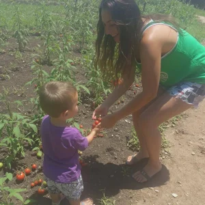 My En.ti.tl.ed Neighbors Treated My Garden like Their Personal Grocery Store — So I Came Up with Something They Didn’t Expect at All