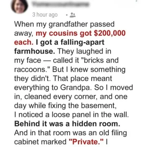They Mocked My Inheritance from Grandpa — Until They Saw What It Really Was