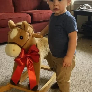 My ex-husband gave our son a rocking horse – When I saw what was inside, I called my lawyer.