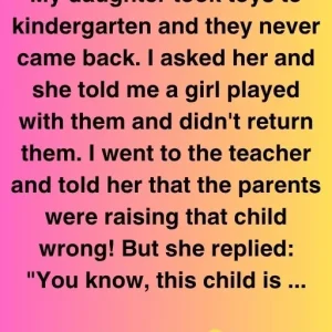 The Girl Who Took The Toys