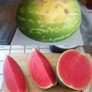 The Smart Shopper’s Guide to Picking the Best Produce