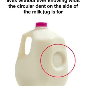 The Hidden Purpose Behind That Little Dent on Your Milk Jug — And Why It Matters More Than You Think