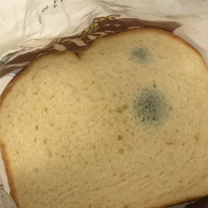 Is Stale Bread Safe to Eat? You Need to Know This