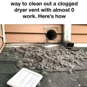 So Brilliant, I Wish I Had Thought of It Myself: Grandma’s Simple Dryer Vent Cleaning Hack