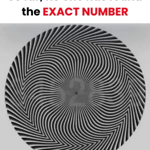 A number is hidden in this optical illusion — and not everyone noticed it the same way