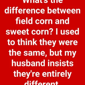 Comparing Field Corn and Sweet Corn