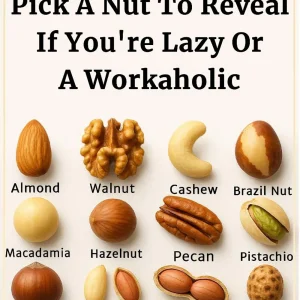 Pick A Nut To Reveal If You’re Lazy Or A Workaholic.