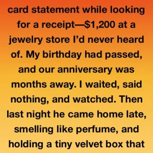 The Velvet Box And The Hidden Truth