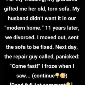 Old Sofa Gift From Grandma Reveals a Life-Changing Secret After 11 Years