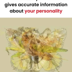 The animal you see first gives accurate information about your personality