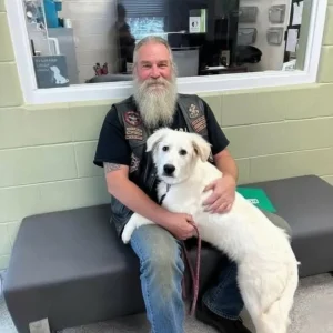 Biker Found This Dog Chained To A Bridge With A Note