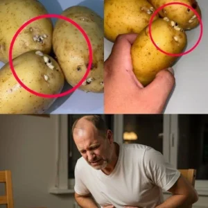 Sprouted Potatoes: The Silent Enemy in Your Kitchen That Can Harm Your Health, Be Careful