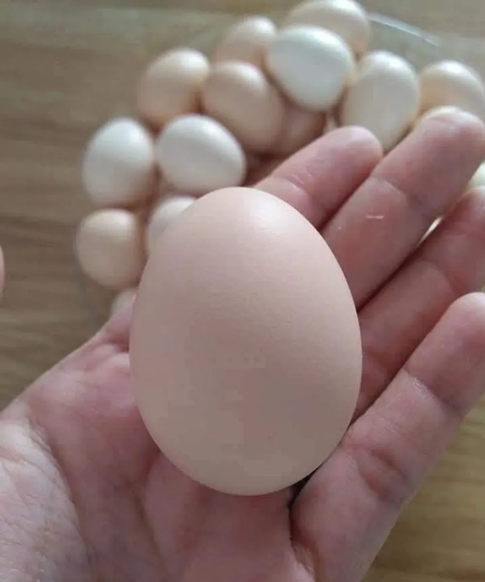 Doctors Reveal What Happens When You Eat Eggs Frequently