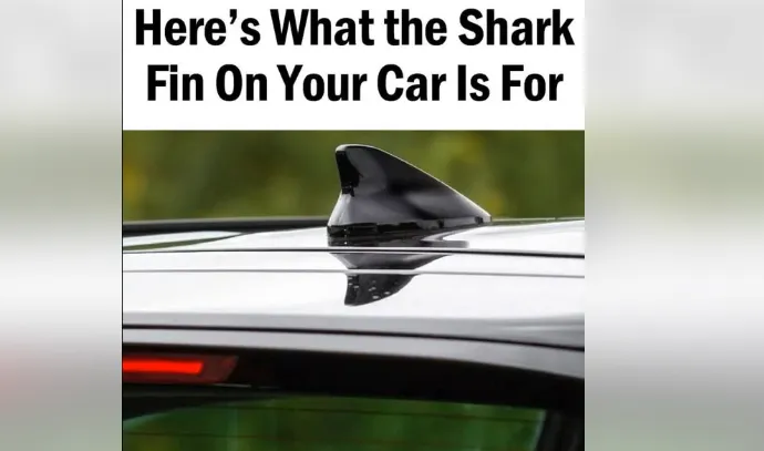 The Clever Purpose Behind the Shark Fin on Your Car