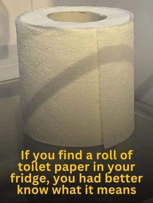 Why There’s Toilet Paper in the Fridge (and Why It Actually Makes Sense)