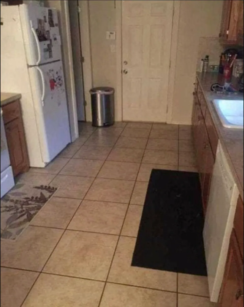 The 75-Pound ‘Invisible’ Dog Hiding in Plain Sight in This Kitchen Photo