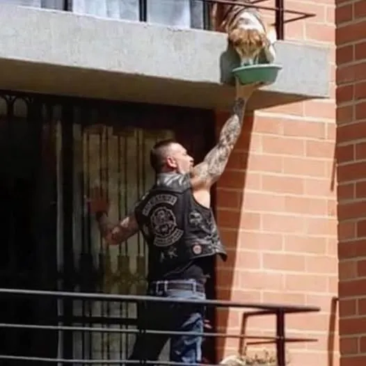 The Biker I Thought Was a Criminal: How a Tattooed Stranger Risked His Life to Save a Starving Dog