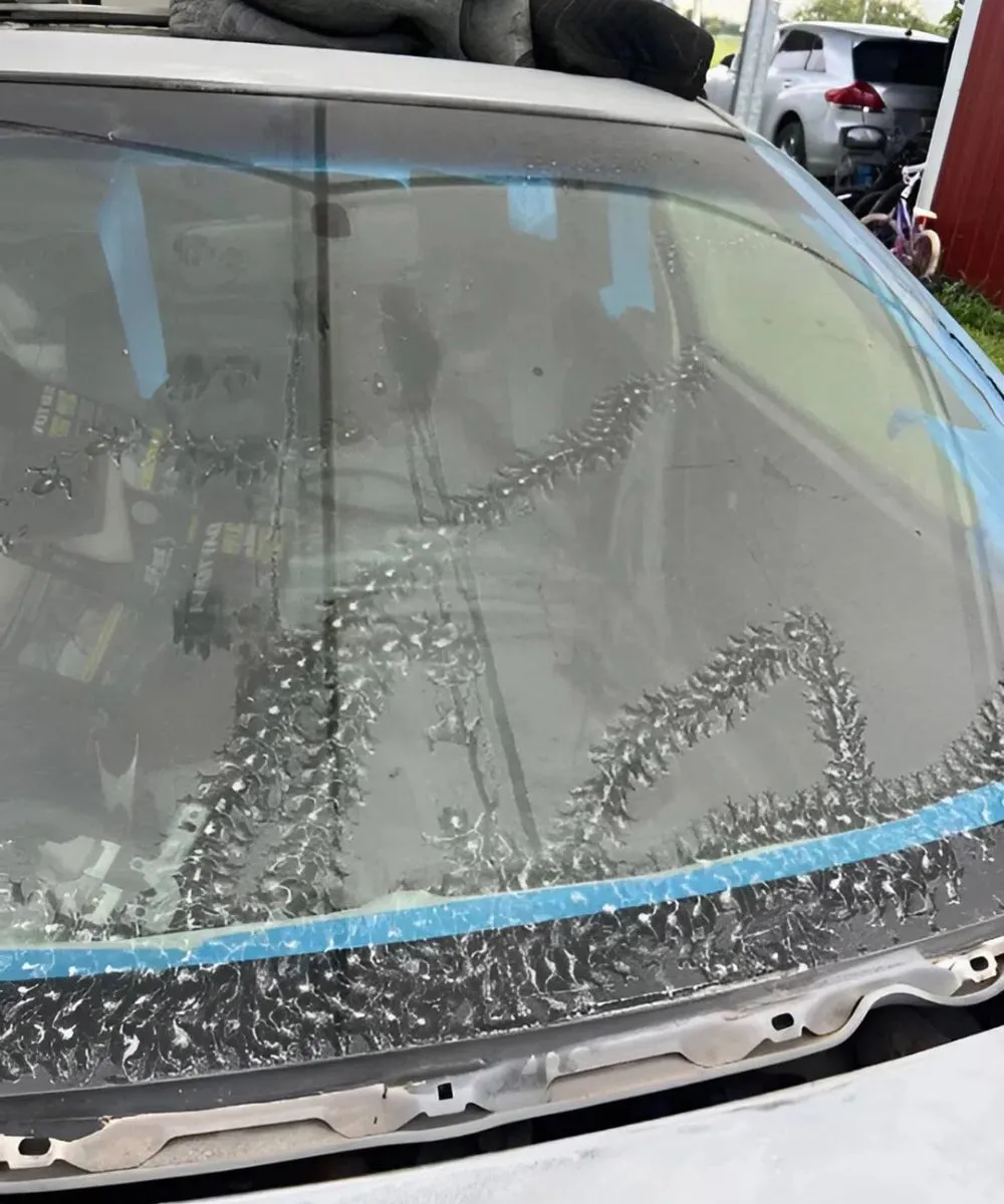 Tiny Night Visitors: The Unexpected Guests Who Left Mysterious Marks on My Car