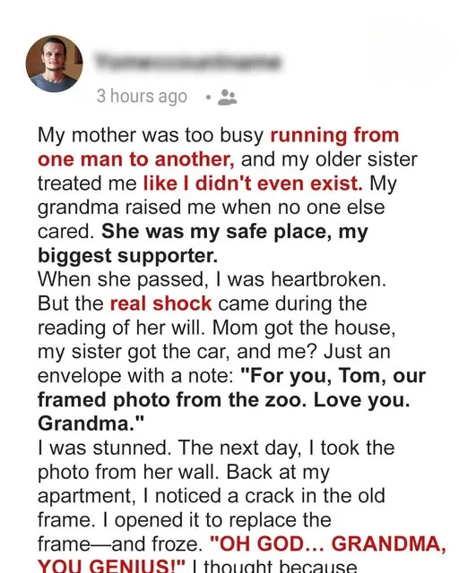 The Inheritance Hidden in a Picture Frame: How Grandma’s Final Gift Built a Home for Everyone